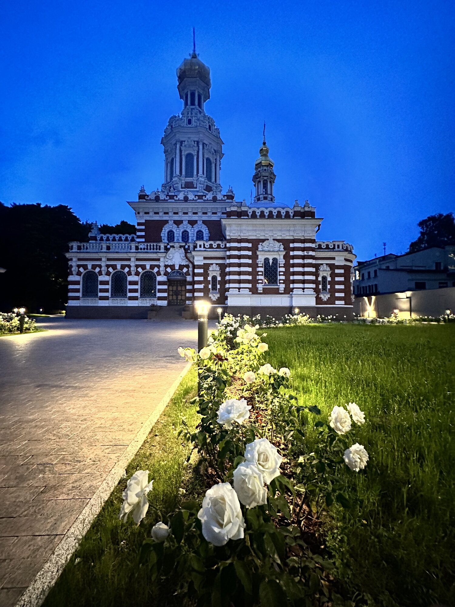 IMG_5433