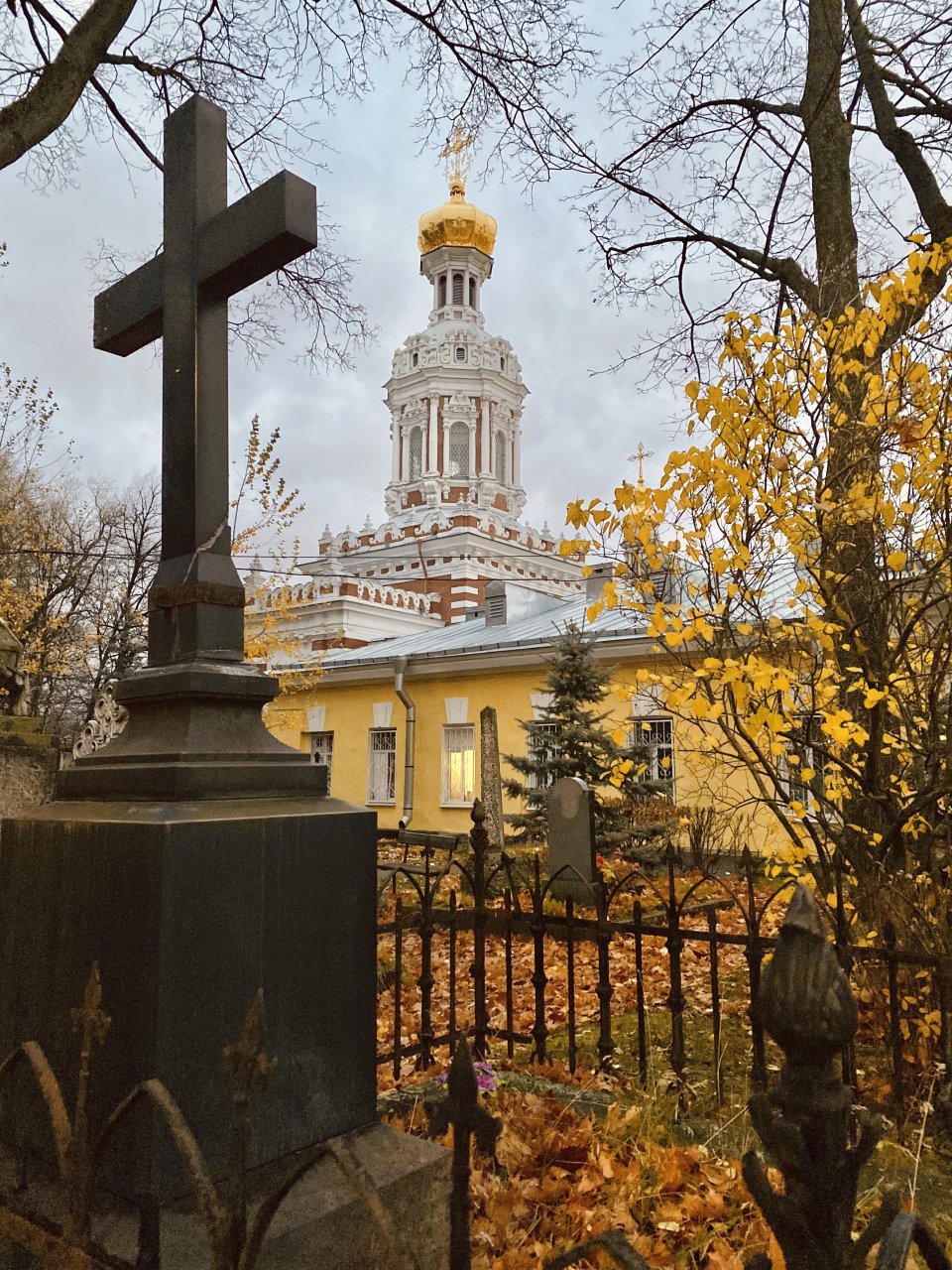 3349c57c.JPG